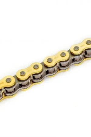 REGINA - 520 135 GPZ 116L G&B - Chains - ROAD RACING Budget